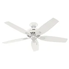 HUNTER FAN - Ventilador de Techo Newsome de 132.08 cm de Diámetro en Color Blanco de 4613 CFM