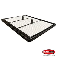 PREMIUM FILTERS - Filtro Aire Hyundai Ioniq