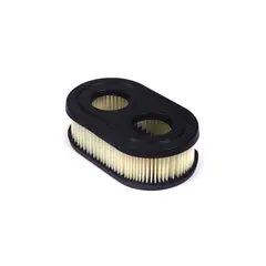 BRIGGS - Cartucho Para Filtro De Aire Para 550E 550EX