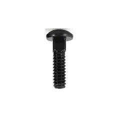 FIXSER - Tornillo Carriage Pavon 5/16X2; 100Und