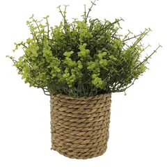 MARRES - Planta Artificial Jade Mini 20x23cm Verde Jardin