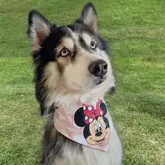 MINNIE - Pañoleta Mascotas Rosado S-m