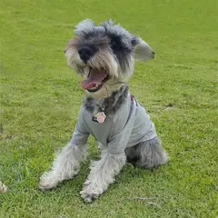 MINNIE - Camiseta Mascotas Gris Claro Xl