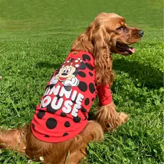 MICKEY MOUSE - Camiseta Mascotas Mickey Rojo Xs