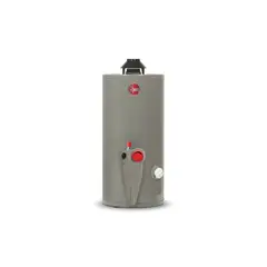 RHEEM - Calentador de Acumulación a Gas 38 Litros