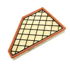 ACDELCO - Filtro de Aire para Blazer 3.6