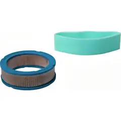 BRIGGS - Filtro de Aire B&s Sm Eng Horizntl