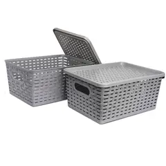 ENERGY PLUS - Set X2 Cajas Organizadoras con Tapa Canasta Gris