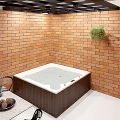 undefined - Hidromasaje Tayrona Lite - Portátil Calentador Gas Propano 10 Litros Wifi