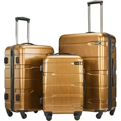 COOLIFE - Set de Maleta de 3 Unidades Velís Marrón