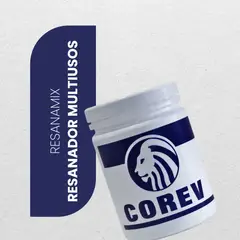 COREV - Resanador Para Muros Multiusos Resanamix Litro