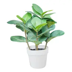 JUST HOME COLLECTION - Planta Artificial Ficus Elástica Plástico 25x30 Cm Verde Jardín