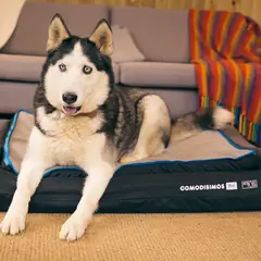 COMODISIMOS - Cozy Hug Pequeña Semifirme 140x90x12cm Extra Grande Azul Comodismos