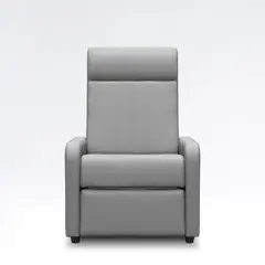 ELITE LIVING - Silla Reclinable Praxis Estática Cuero Sintético Gris
