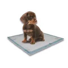 undefined - Tapete Para Perro De Entrenamiento 12Unid + Repuesto De Bolsa Petizoos