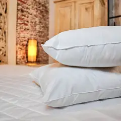 NUBEFLEX - Almohadas Premium 50x70cm