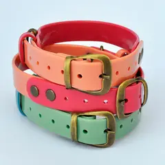 AM MASCOTAS - Collar Para Perro Plástico Grande