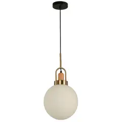 IKELITE DESIGN - Lámpara Colgante Negro 1 Luz E27 40w