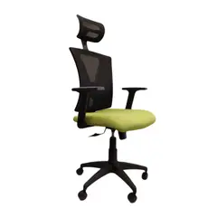 ADEQUAR - Silla de escritorio Ejecutiva Negro y Verde Moderno