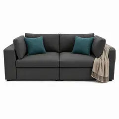 MUEBLES DE LUJO - Sofá Emperador 3 Puestos Tela Pet Friendly Antifluidos 200x95x81 Gris