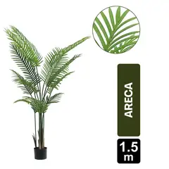 GIO HOME - Palma Areca X 12 Hojas - 150 Cms