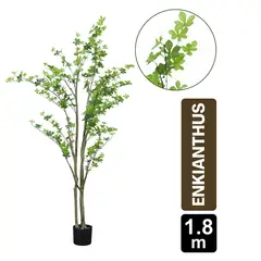 GIO HOME - Mata Enkianthus 180 Cms