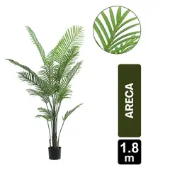 undefined - Palma Areca X 15 Hojas - 180 Cms