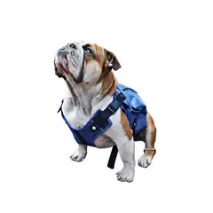AM MASCOTAS - Chaleco Pesas Para Perro