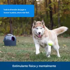 PETSAFE - Lanzador de Pelotas Automático para Perros con Rango Ajustable