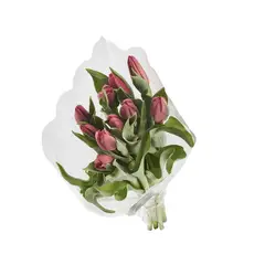 FLORIA EXPRESS - Tulipanes Morados x 10 Tallos El Paquete