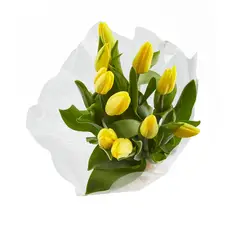 FLORIA EXPRESS - Tulipanes Amarillos x 10 Tallos El Paquete