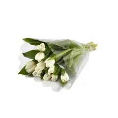 FLORIA EXPRESS - Tulipanes Blancos x 10 Tallos El Paquete