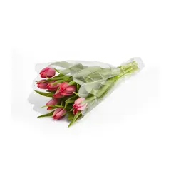 FLORIA EXPRESS - Tulipanes Fucsias x 10 Tallos El Paquete