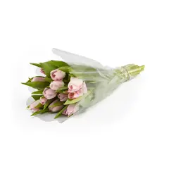 FLORIA EXPRESS - Tulipanes Rosados x 10 Tallos El Paquete