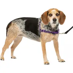 PETSAFE - Arnés Para Perro De Paseo Fácil S/ m Púrpura