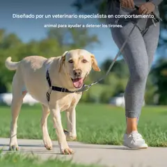 PETSAFE - Arnés para Perro Sin Tirones Easy Walk Con Diseño de Pecho Cómodo