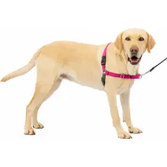 PETSAFE - Arnés Para Perro De Paseo Fácil Talla L