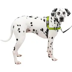 PETSAFE - Arnés Para Perro De Adiestramiento Con Anillo