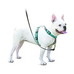 PETSAFE - Arnés Para Perro 3 En 1