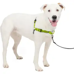 PETSAFE - Arnés para Perros Antitirones Deluxe Easy Walk Reflectivo Verde Manzana