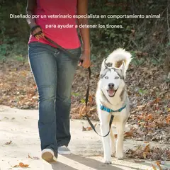 PETSAFE - Arnés Para Perro Sin Tirones Easy Walk Talla Grande Azul Rey