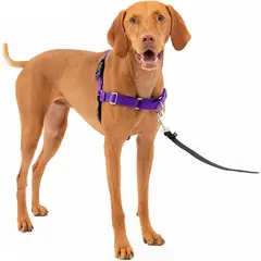 PETSAFE - Arnés Para Perro De Paseo Fácil M Púrpura