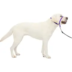 PETSAFE - Collar Para Perro Suave de Conducción Entrenamiento