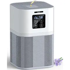 undefined - Purificadores de Aire para el Hogar con Filtro H13 True HEPA