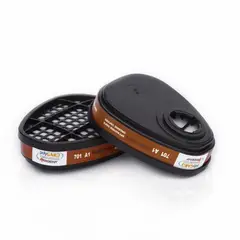 POLYGARD - Cartucho Vapores Organicos Par