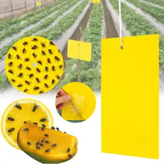 GENERICO - Trampa Pegajosa Para Insectos Doble Cara X 10 Und Perduoutlet