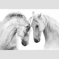 undefined - Cuadro Caballos Blancos 100X70