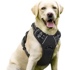 RABBITGOO - Arnés No-Pull Ajustable para Perros
