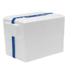GENERICO - Nevera en Icopor 10 Litros 10 Unidades