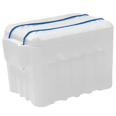 GENERICO - Nevera en Icopor 5 Litros 10 Unidades